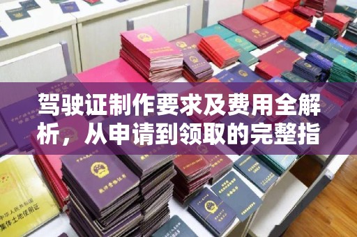 振兴驾驶证制作要求及费用全解析，从申请到领取的完整指南