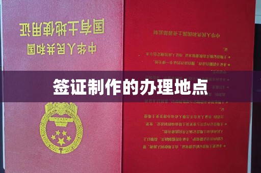 振兴签证制作的办理地点